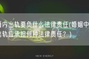 婚内出轨要负什么法律责任(婚姻中的出轨应承担何种法律责任？)