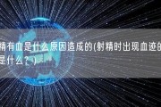 射精有血是什么原因造成的(射精时出现血迹的原因是什么？)