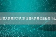 增长增大的最好方式(实现增长的最佳途径是什么？)