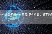男性性功能不行什么原因(男性性能力低下的原因)