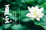 夏至当天吃什么最好 夏至养生的原则是什么