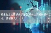 鸡把头上出现好多小红点(鸡头上突然长满小红点，原因惊人！)