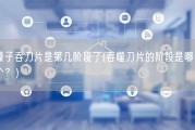 嗓子吞刀片是第几阶段了(吞噬刀片的阶段是哪一个？)