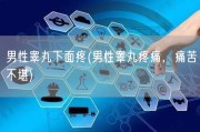 男性睾丸下面疼(男性睾丸疼痛，痛苦不堪)