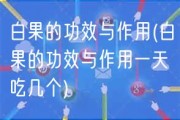 白果的功效与作用(白果的功效与作用一天吃几个)