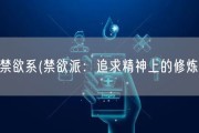 禁欲系(禁欲派：追求精神上的修炼)