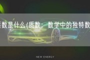 质数是什么(质数：数学中的独特数字)