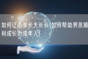如何让小弟长大长长(如何帮助男孩顺利成长为成年人)