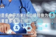 一公顷是多少平方米(一公顷转换为平方米，计算出结果是多少？)