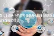 鸡儿上面长了白色痘痘是怎么回事(母鸡出现白色痘痘的原因)