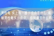男性龟 头上有一圈小点点是什么(揭秘男性龟头小点点，你知道是什么吗？)
