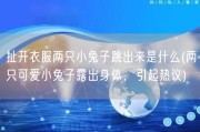 扯开衣服两只小兔子跳出来是什么(两只可爱小兔子露出身体，引起热议)