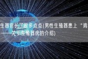 男生器官长了很多点点(男性生殖器患上“鸡眼”？——关于生殖器疣的介绍)