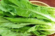 油麦菜的功效与作用是什么 油麦菜可以生吃吗