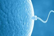 精子于女性体内存活多久 男性精子体外存活时间一览