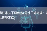 男性睾丸下面疼痛(男性下体疼痛：睾丸遭受不适)