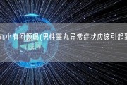 睾丸小有问题吗(男性睾丸异常症状应该引起警惕)