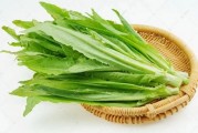 油麦菜的功效与作用是什么 为什么尽量少吃油麦菜