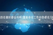 你们的在做时都会叫吗(重新命名工作中的命名习惯。)