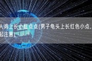 男人鸡上长小红点点(男子龟头上长红色小点，需引起注意)