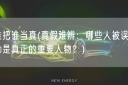 谁把谁当真(真假难辨：哪些人被误以为是真正的重要人物？)