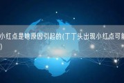 丁丁头上有小红点是啥原因引起的(丁丁头出现小红点可能是由什么原因引起的？)