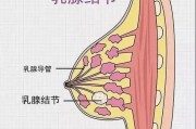 吃芋头对乳腺结节有好处吗 七天消除乳腺结节怎么做