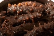 海参的补肾食谱有哪些 海参的最佳饮食搭配是什么