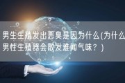 男生生殖发出恶臭是因为什么(为什么男性生殖器会散发难闻气味？)